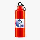 Металлическая бутылка 700 мл UV-DTF