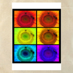 Подсолнухи.