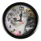 Кот в корзине