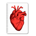 Тетрадь А5 Сердце