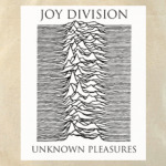 Joy Division