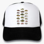 Кепки Trucker