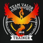 Покемоны. Team Valor