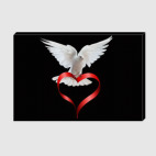 Белый голубь