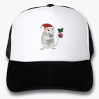 Кепки Trucker