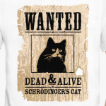 Розыск - кот Шредингера