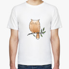 Кот Мягкот, рыжий живот!