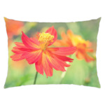 запах весны