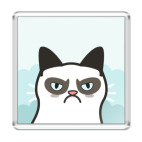 Магнит 6.5 x 6.5 см Grumpy Cat
