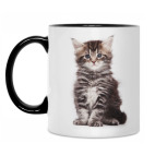 Кружка двухцветная