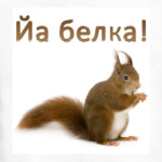 Йа белка!