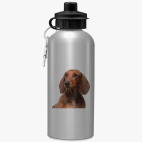 Спортивная бутылка