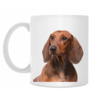 Кружка 330 мл