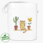 кот и кактус