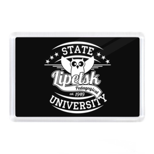 Магнит с принтом LSPU Owl