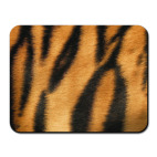 Тигровая шкура