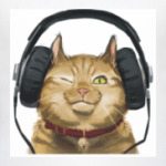 Кот слушает музыку