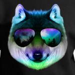 Волк в очках