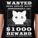Кот Шрёдингера
