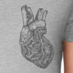 Big Heart Anatomy