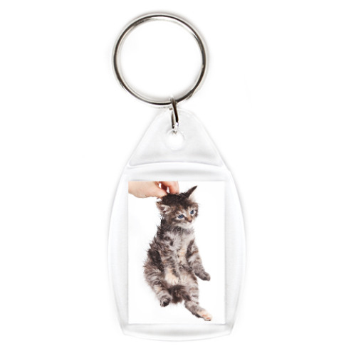 Брелок с принтом Котики-котята