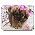 Щенок с цветами