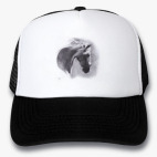 Кепки Trucker