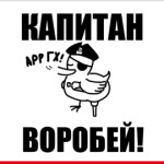  'Капитан воробей!
