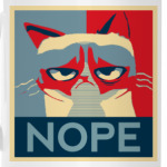 Grumpy cat - NOPE