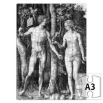 Адам и Ева Дюрера