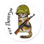 Кот с автоматом Калашникова