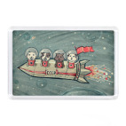 Косматые космонавты