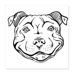 довольный питбуль