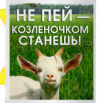Не пей, козленочком станешь