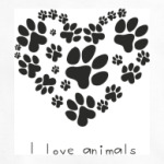 I love animals