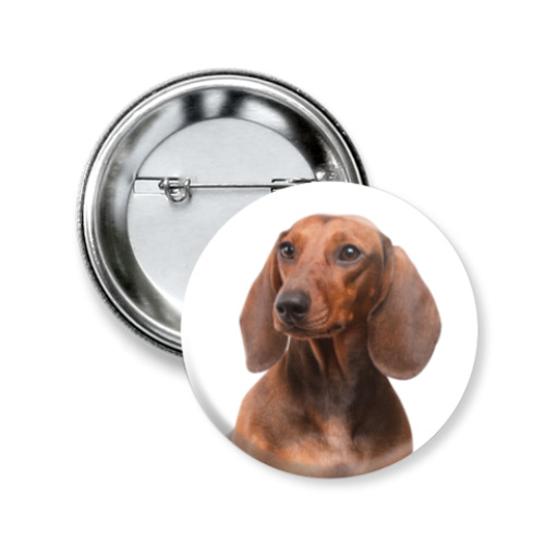 Значок 50мм с принтом Такса