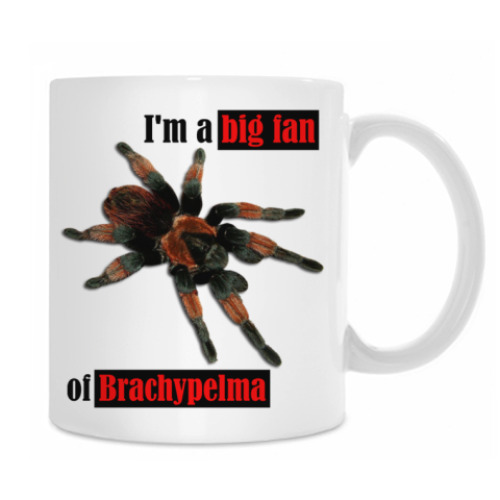 Кружка с принтом Brachys