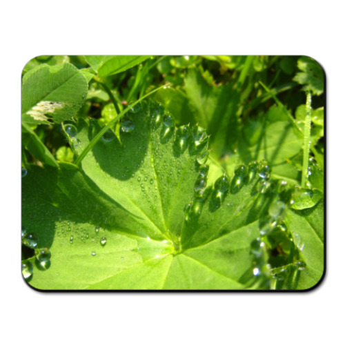 Коврик для мыши с принтом природа