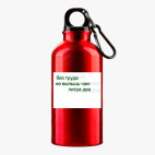 Металлическая бутылка 400 мл UV-DTF