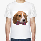 Собака в очках и бабочке