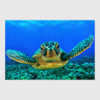 Постер 40 х 60 см Черепаха