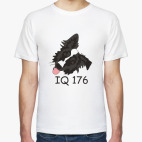  Бордер колли