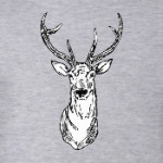 Северный олень