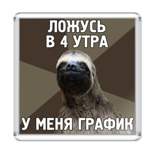 Магнит с принтом  Ленивец