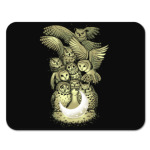 Owls are not what they seem