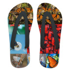 Лето и бабочки