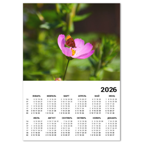 Календарь с принтом Садовая ромашка