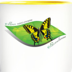 Меня наполняет вдохновение