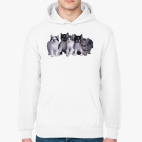 Толстовка худи