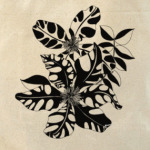 Клематис прекрасный